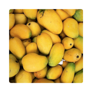 Lagdna Mango